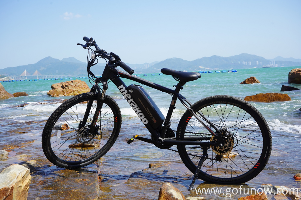 2022 Long range central motor 36V 350W electric mountain bike trek wholesale full suspension Electric Bike